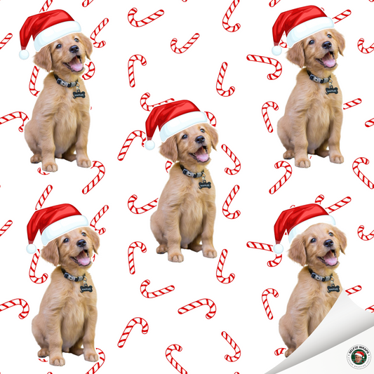 Candy Cane Paws (Selfie) Wrapping Paper