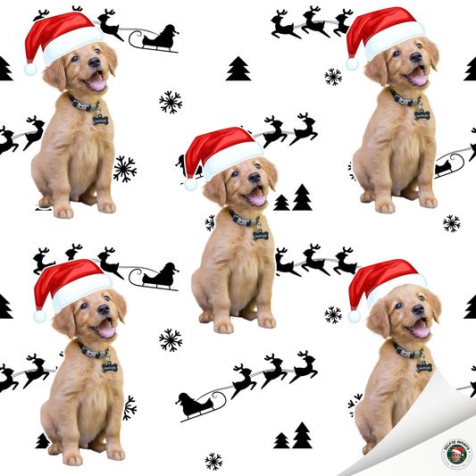 Pawsitively Joyful (Selfie) Wrapping Paper